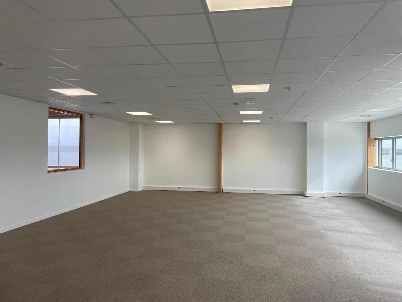 Local d'activité Tremblay-en-France 9589m² Location local d'activité Tremblay-en-France Seine-Saint-Denis OLACT2310113 4
